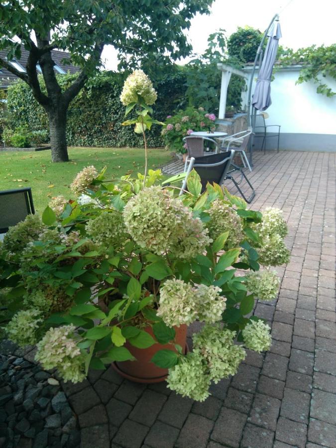 Ferienwohnung Kirschbluete Billigheim-Ingenheim Dış mekan fotoğraf