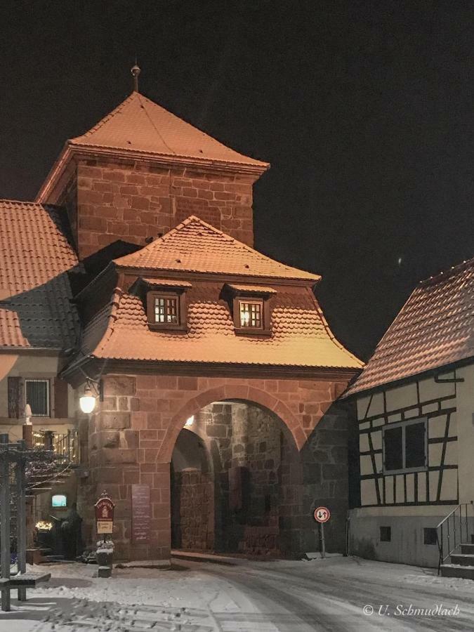 Ferienwohnung Kirschbluete Billigheim-Ingenheim Dış mekan fotoğraf