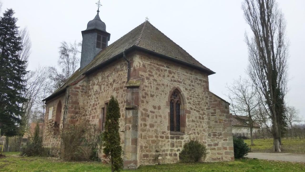 Ferienwohnung Kirschbluete Billigheim-Ingenheim Dış mekan fotoğraf